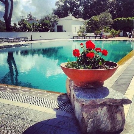 Hotel Al Bosco Forio di Ischia Dış mekan fotoğraf