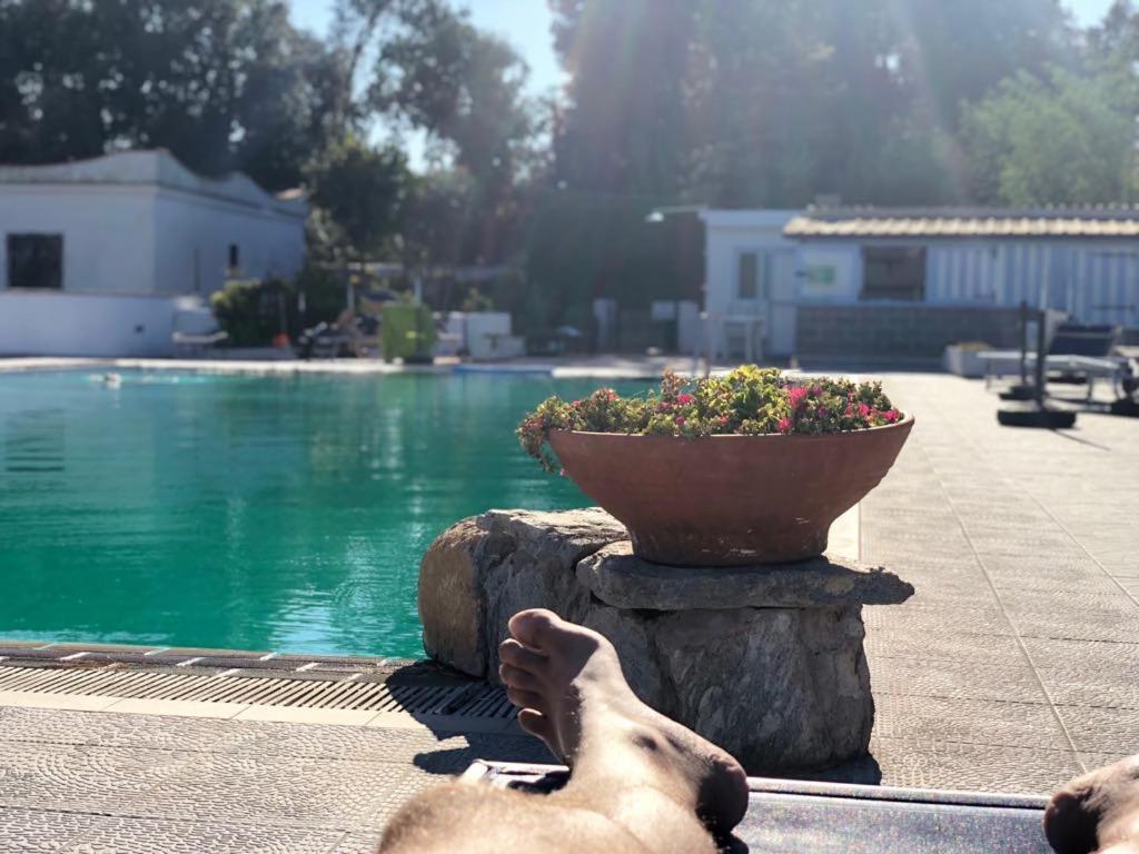 Hotel Al Bosco Forio di Ischia Dış mekan fotoğraf