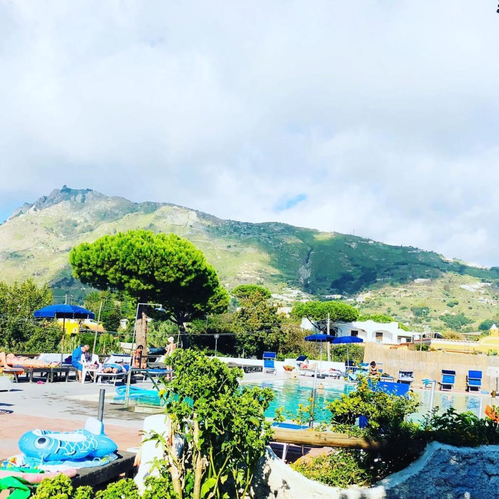 Hotel Al Bosco Forio di Ischia Dış mekan fotoğraf